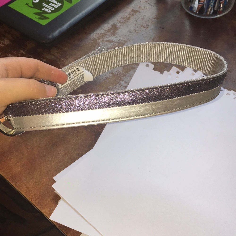 Large dog collar